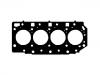 Cylinder Head Gasket:22311-4A000