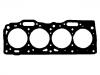 Cylinder Head Gasket:7564332